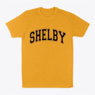 Shelby North Carolina Varsity Classic Dad T-Shirt