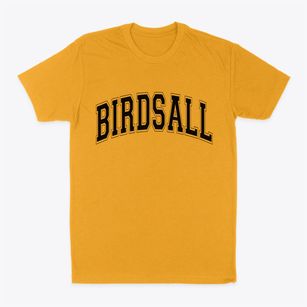 Birdsall New York Varsity Classic Dad T-Shirt