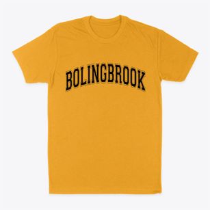 Bolingbrook Illinois Varsity Classic Dad T-Shirt