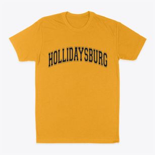 Hollidaysburg Pennsylvania Varsity Classic Dad T-Shirt