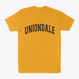 Uniondale New York Varsity Classic Dad T-Shirt