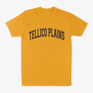 Tellico Plains Tennessee Varsity Classic Dad T-Shirt