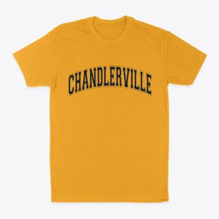 Chandlerville Illinois Varsity Classic Dad T-Shirt