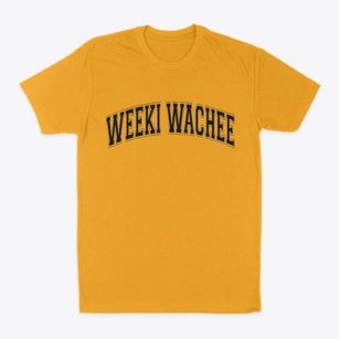Weeki Wachee Florida Varsity Classic Dad T-Shirt