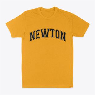 Newton North Carolina Varsity Classic Dad T-Shirt