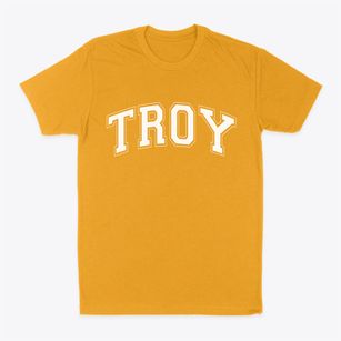 Troy New York Varsity Classic Dad T-Shirt