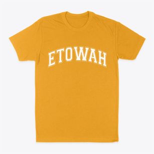 Etowah Tennessee Varsity Classic Dad T-Shirt