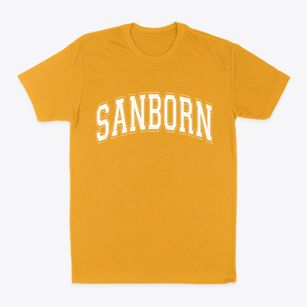 Sanborn Iowa Varsity Classic Dad T-Shirt