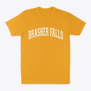 Brasher Falls New York Varsity Classic Dad T-Shirt