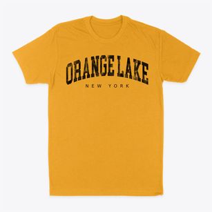 Orange Lake New York Urban Vibe Classic Dad T-Shirt