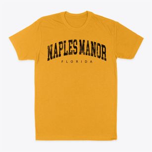 Naples Manor Florida Urban Vibe Classic Dad T-Shirt