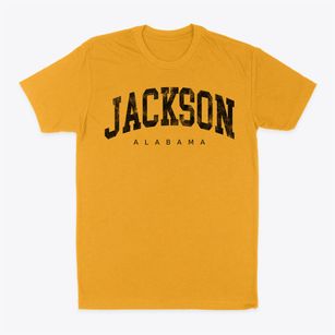 Jackson Alabama Urban Vibe Classic Dad T-Shirt