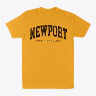 Newport North Carolina Urban Vibe Classic Dad T-Shirt