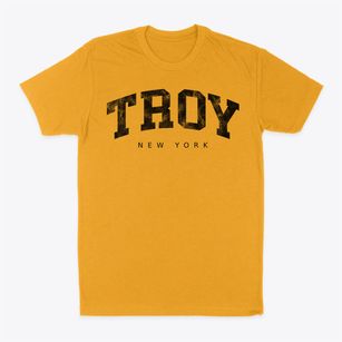 Troy New York Urban Vibe Classic Dad T-Shirt