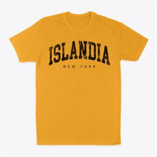 Islandia New York Urban Vibe Classic Dad T-Shirt