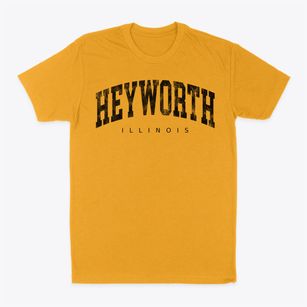 Heyworth Illinois Urban Vibe Classic Dad T-Shirt