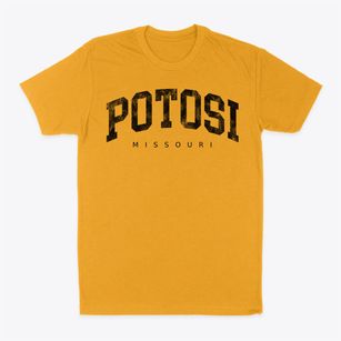 Potosi Missouri Urban Vibe Classic Dad T-Shirt