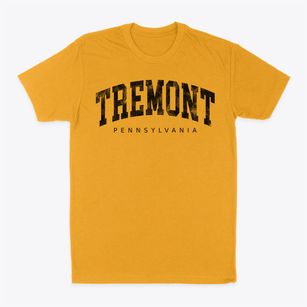 Tremont Pennsylvania Urban Vibe Classic Dad T-Shirt