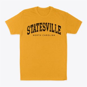 Statesville North Carolina Urban Vibe Classic Dad T-Shirt