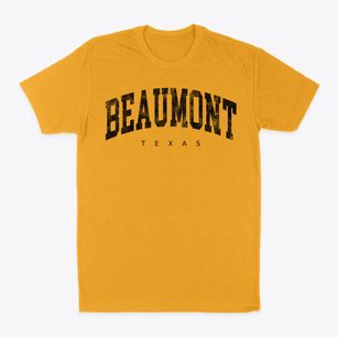 Beaumont Texas Urban Vibe Classic Dad T-Shirt