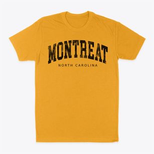 Montreat North Carolina Urban Vibe Classic Dad T-Shirt