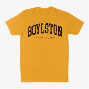 Boylston New York Urban Vibe Classic Dad T-Shirt