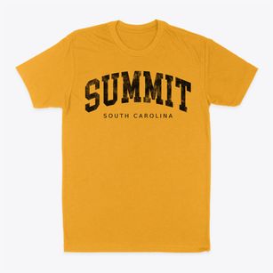 Summit South Carolina Urban Vibe Classic Dad T-Shirt