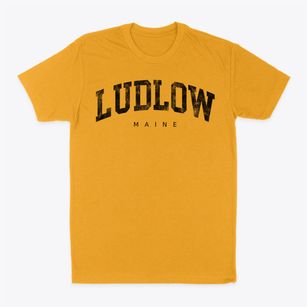 Ludlow Maine Urban Vibe Classic Dad T-Shirt