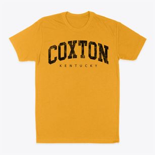 Coxton Kentucky Urban Vibe Classic Dad T-Shirt