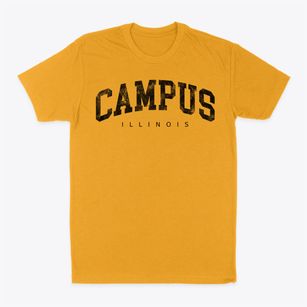 Campus Illinois Urban Vibe Classic Dad T-Shirt