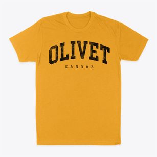 Olivet Kansas Urban Vibe Classic Dad T-Shirt