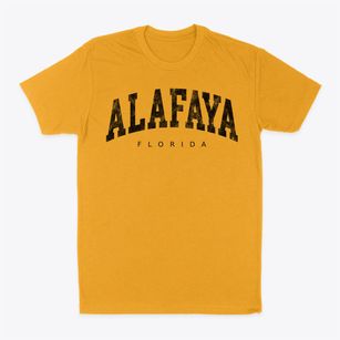 Alafaya Florida Urban Vibe Classic Dad T-Shirt