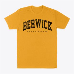 Berwick Pennsylvania Urban Vibe Classic Dad T-Shirt