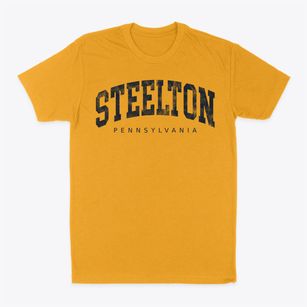 Steelton Pennsylvania Urban Vibe Classic Dad T-Shirt