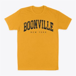 Boonville New York Urban Vibe Classic Dad T-Shirt
