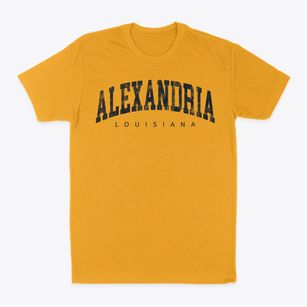 Alexandria Louisiana Urban Vibe Classic Dad T-Shirt