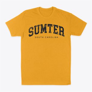 Sumter South Carolina Urban Vibe Classic Dad T-Shirt
