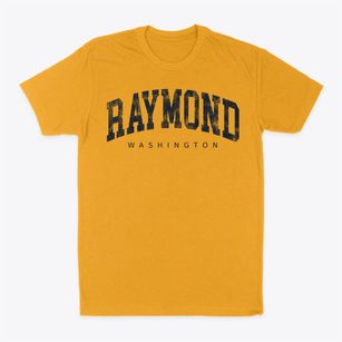 Raymond Washington Urban Vibe Classic Dad T-Shirt
