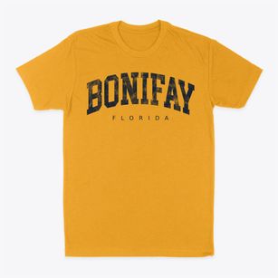 Bonifay Florida Urban Vibe Classic Dad T-Shirt