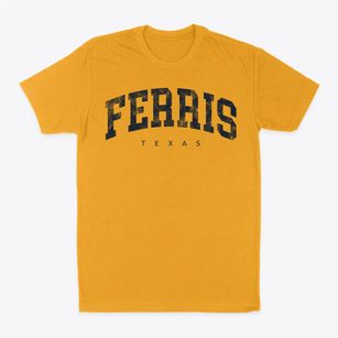 Ferris Texas Urban Vibe Classic Dad T-Shirt
