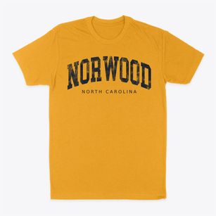 Norwood North Carolina Urban Vibe Classic Dad T-Shirt