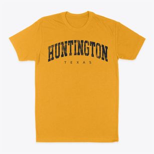 Huntington Texas Urban Vibe Classic Dad T-Shirt