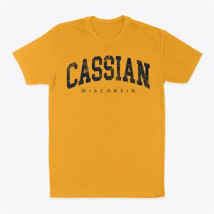 Cassian Wisconsin Urban Vibe Classic Dad T-Shirt