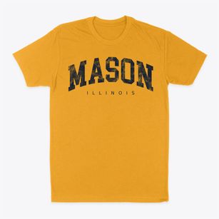 Mason Illinois Urban Vibe Classic Dad T-Shirt