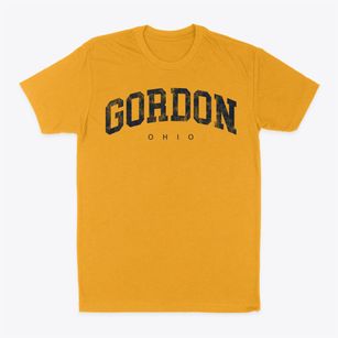 Gordon Ohio Urban Vibe Classic Dad T-Shirt
