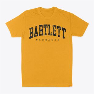 Bartlett Nebraska Urban Vibe Classic Dad T-Shirt