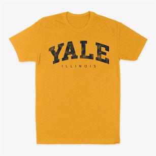 Yale Illinois Urban Vibe Classic Dad T-Shirt