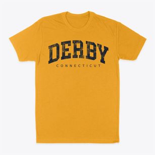Derby Connecticut Urban Vibe Classic Dad T-Shirt