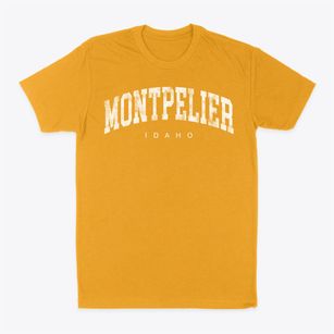 Montpelier Idaho Urban Vibe Classic Dad T-Shirt