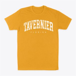 Tavernier Florida Urban Vibe Classic Dad T-Shirt